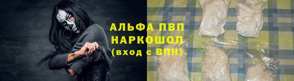 мяу мяу мука Баксан