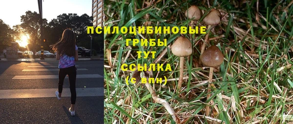 мяу мяу мука Баксан
