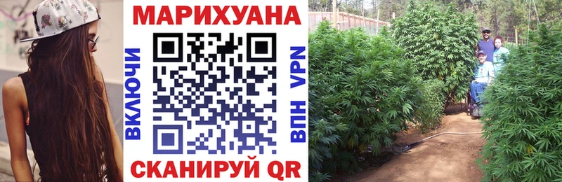 Канабис план  где можно купить   Вяземский 